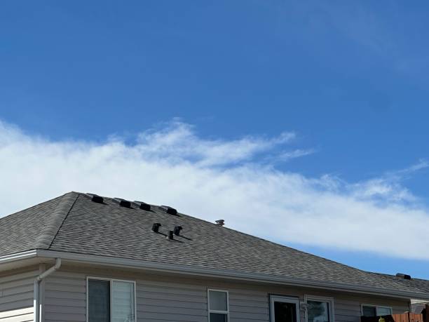 Professional Roofing Service in Holladay, UT
